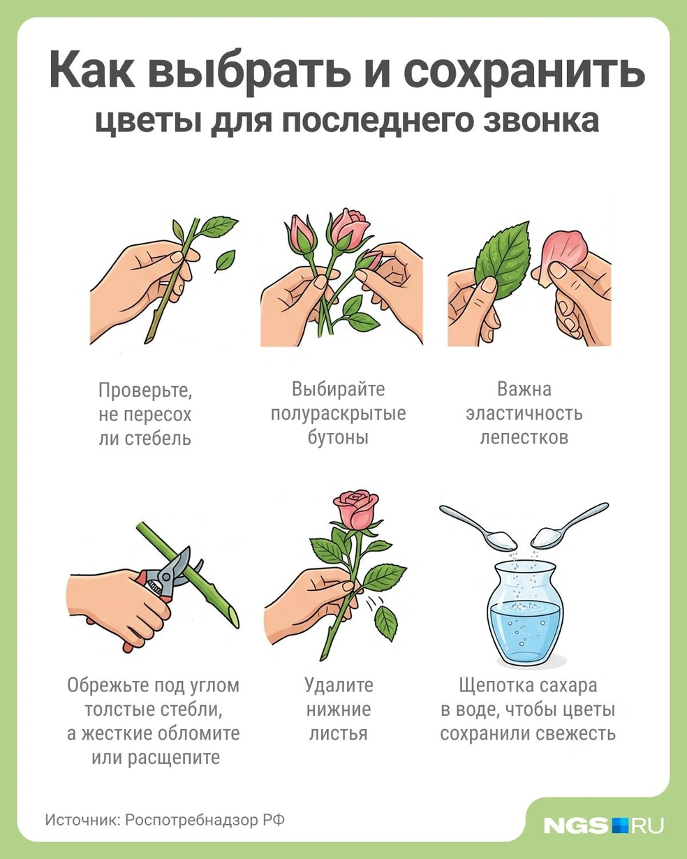 Можно растворить в воде сахар или специальное средство для сохранения свежести букетов | Источник: Юрий Орлов / Городские медиа