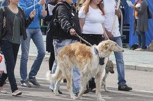 Источник: Максим Федосеев