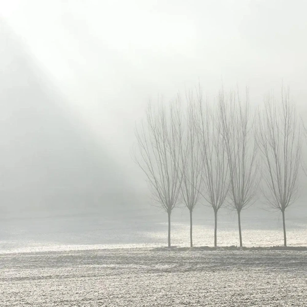 Источник: Marleen Van Hove / Minimalist Photography Awards 2025