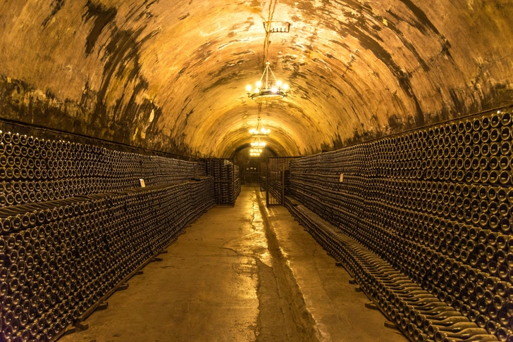 Источник: katuka/Shutterstock/Fotodom.ru