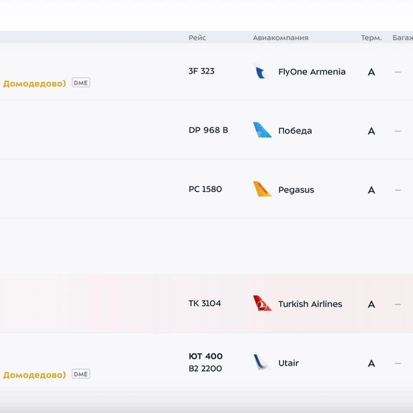 Некоторые борта перенаправляют в другие аэропорты | Источник: vnukovo.ru