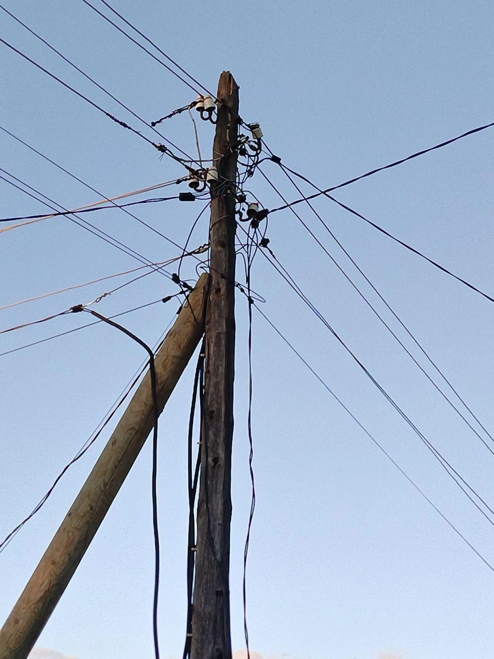 Так выглядят провода на столбах в СНТ «Самоцветы» | Источник: читатель 72.RU