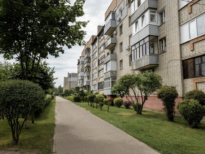 По обеим сторонам тротуара аккуратный газон и деревья | Источник: Александр Куренной / 76.RU