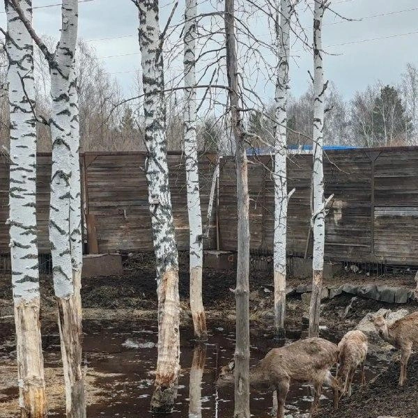 Источник: пресс-служба областной прокуратуры
