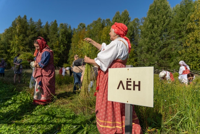 Источник: Музей-заповедник «Малые Корелы»