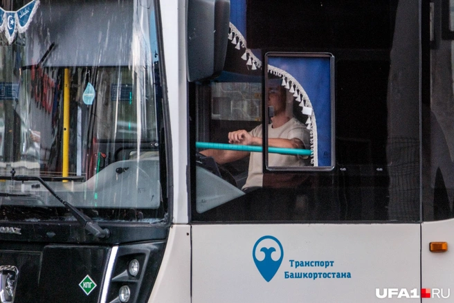 Хороший день, хорошо едем | Источник: Булат Салихов / UFA1.RU