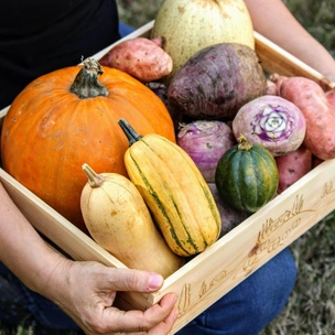 Топ-10 продуктов, которые стоит включить в рацион осенью