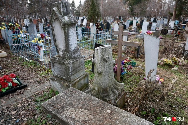 Еще один интересный монумент&nbsp;— пень дерева с обрубленными ветками и корнями&nbsp;— символизирует отсутствие наследников. Его еще называют «Последний в роду» | Источник: Михаил Шилкин