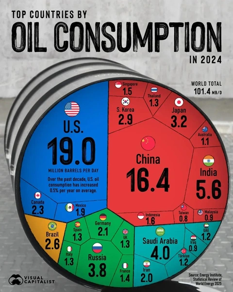 Источник: Visual Capitalist via Voronoi App