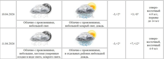 Источник: скрин с сайта Курганского ЦГМС