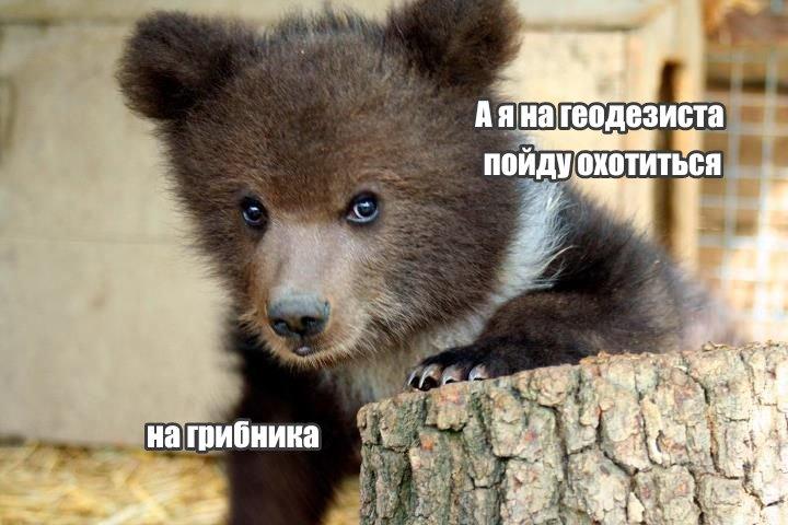 Источник: Соцсети