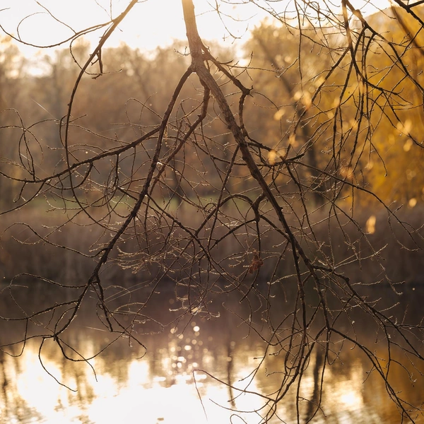 Вот и замерло все до весны | Источник: «Самарский университет» / Vk.com 