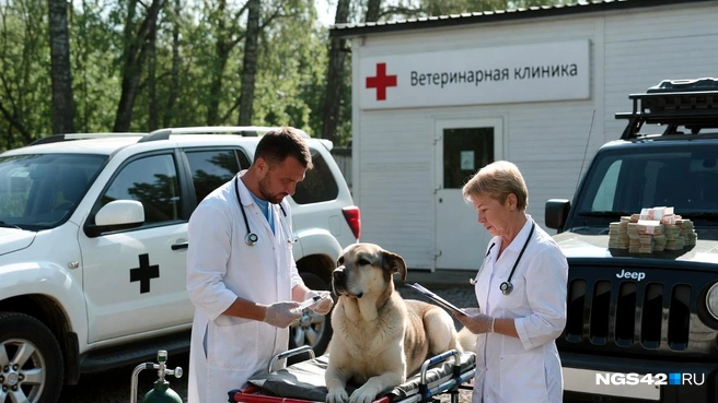 Работники направили жалобы в несколько приемных, в том числе и президента | Источник: Городские медиа / NGS42.RU
