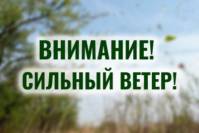 Внимание: в Тамбове ожидается сильный ветер
