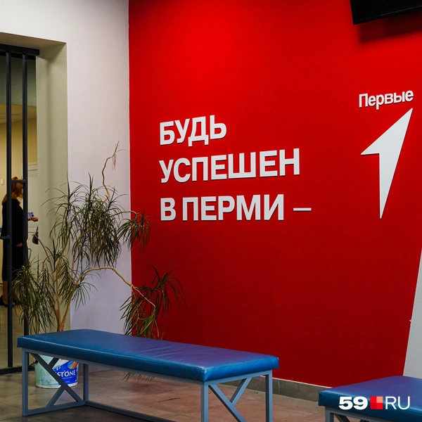 Слоганы на стенах&nbsp;— идея директора | Источник: Репсиме Зурнаджян / 59.RU