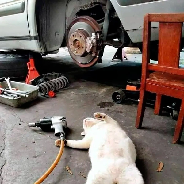 Источник: соцсети