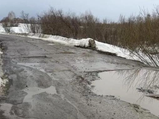 Дорога к селу Витаминка была названа местными жителями худшей в Новосибирской области. | Источник: СУ СКР НСО