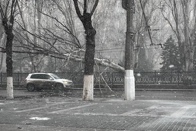 Ураган в Волгограде повредил инфраструктуру и остановил транспорт