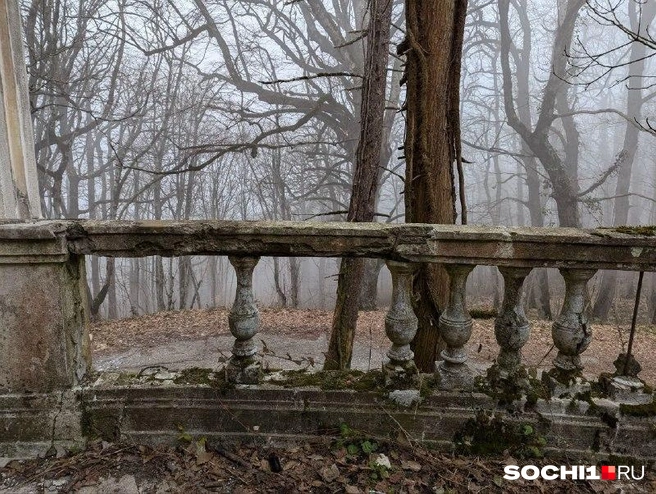 Заброшенный ресторан доживает свой век в одиночестве и тишине, теряя последние черты | Источник: Оксана Витязь / SOCHI1.RU