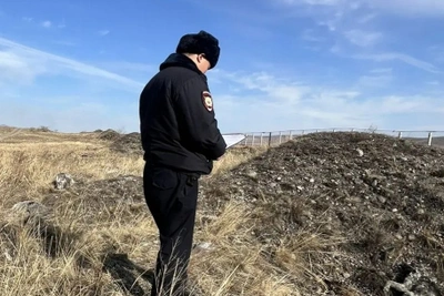 Полиция Кызыла проверяет обнаружение останков собак