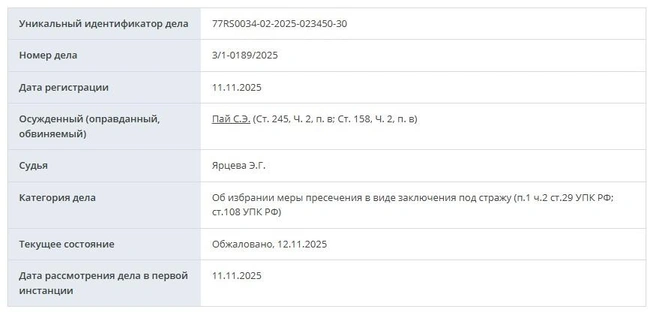 11 ноября Сергея Пая арестовали, спустя сутки его адвокаты обжаловали решение Щербинского суда | Источник: mos-gorsud.ru