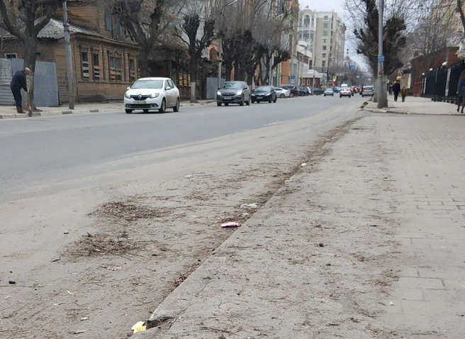 Урбанисты объяснили, почему Рязань утонула в пыли | 62.ru