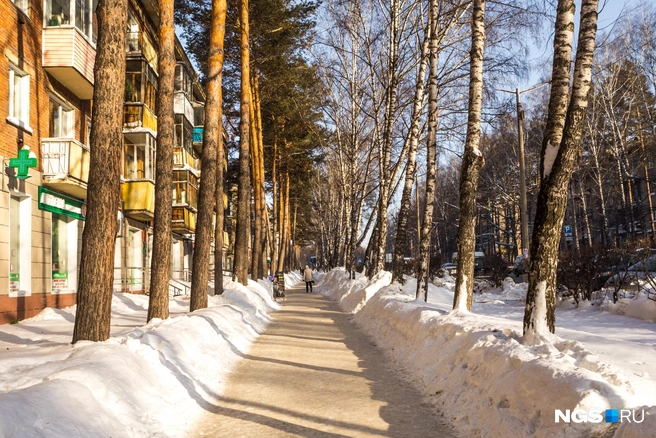 В Академгородке работает «научная» управляющая компания | Источник: Ольга Бурлакова / NGS.RU