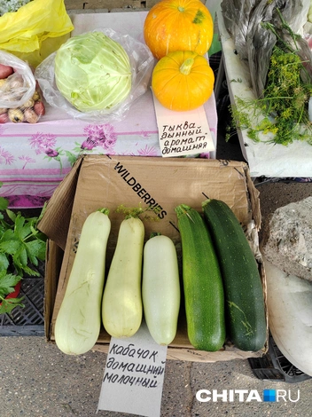 Источник: Дарья Кливенкова / CHITA.RU