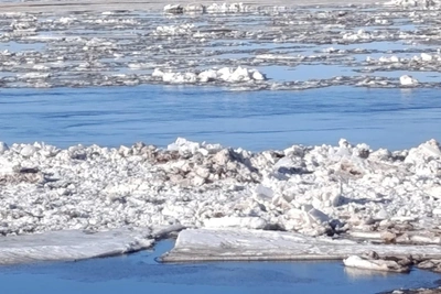 Ледоход у Архангельска: кадры из области