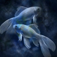 Аватарка Pisces♓️