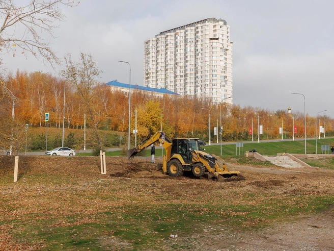 Сотрудники МБУ «Волгоградзеленхоз» практически завершили работу с древесными насаждениями | Источник: Алексей Волхонский / V1.RU
