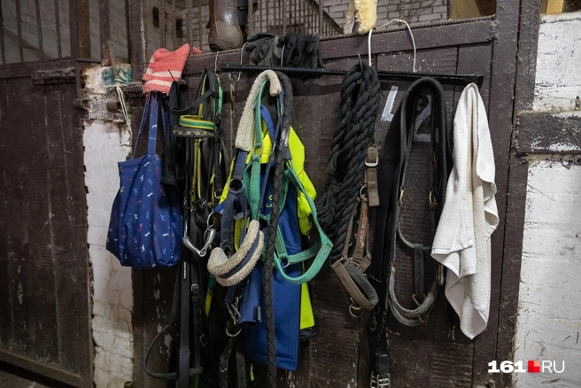 Источник: Евгений Вдовин / 161.RU