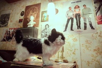 What These 10 Items Were Used for in the USSR — A Test for History Buffs