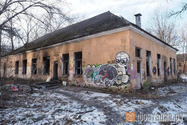 Источник: автор фото Михаил Огнев/«Фонтанка.ру»