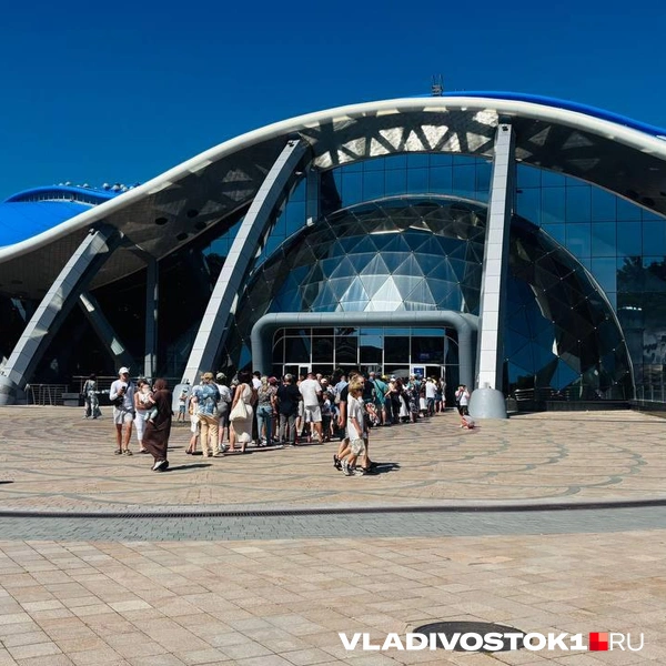 Источник: Елена Буйвол / VLADIVOSTOK1.RU
