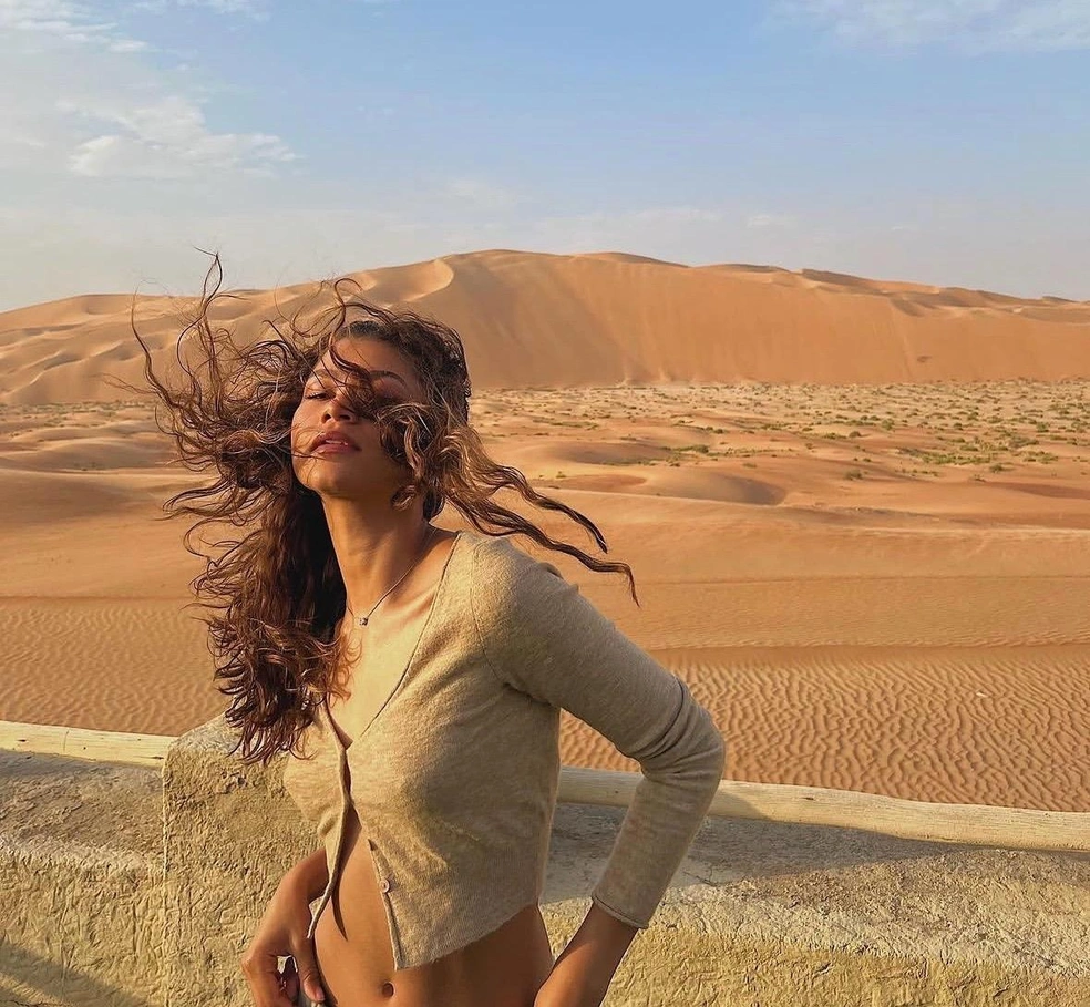 Актрисы никак не комментировали свои разногласия  | Источник: zendaya/Instagram (экстремистская организация, деятельность запрещена на территории РФ)