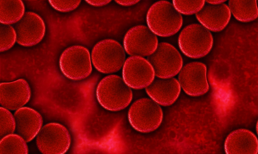 Фото №1 - Петербургские ученые создают уникальную коллекцию крови диабетиков