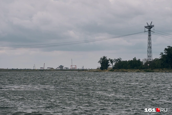 Источник: Артем Марьенко / 161.RU