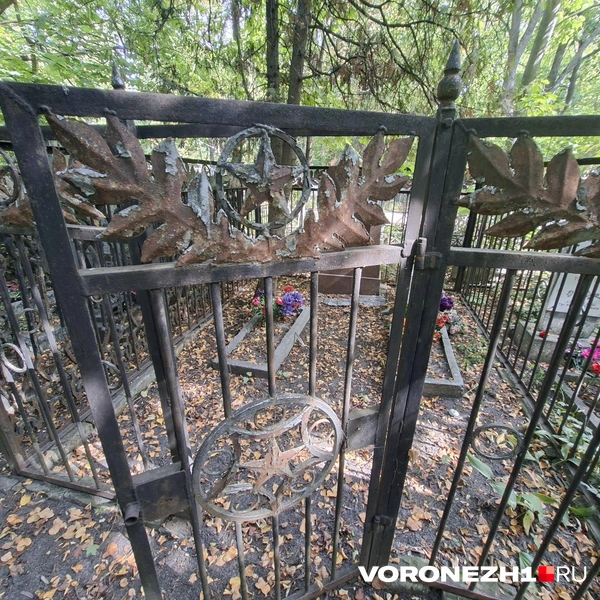 Источник: Алёна Воропаева / Voronezh1.ru