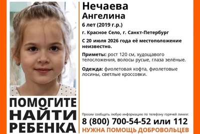 Шестилетняя Ангелина пропала в Красном Селе: поиски всю ночь