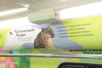 Источник: официальный портал Забайкальского края