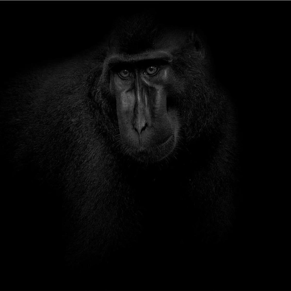 Источник: Richard Chong / Exposure One Awards 2025