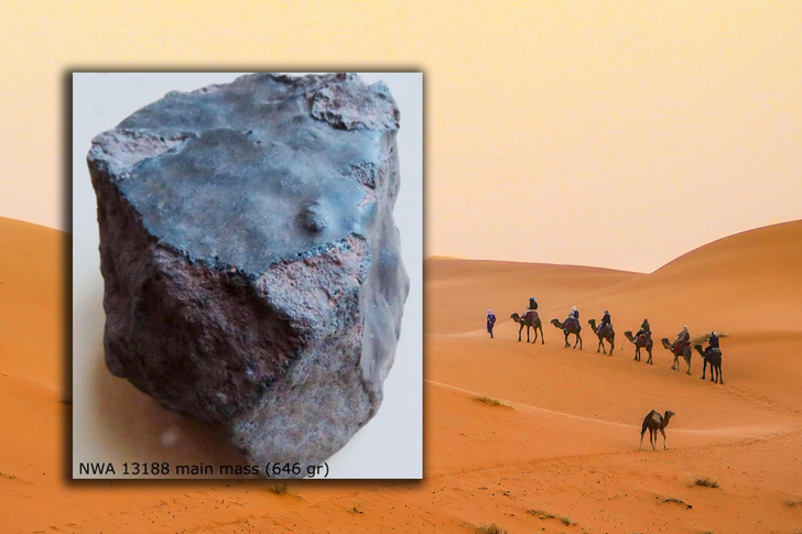 Летал по космосу 10 тысяч лет и вернулся: какие вопросы задал геологам метеорит-бумеранг из Сахары?