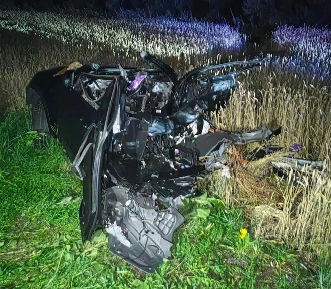 Семья с двумя детьми из Воронежа погибла в жуткой аварии с грузовиком на трассе под Тамбовом | Источник: Госавтоинспекция Тамбовской области / госавтоинспекция.рф/r/68