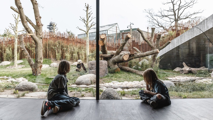 В зоопарке Копенгагена построили дом для панд (фото 13)