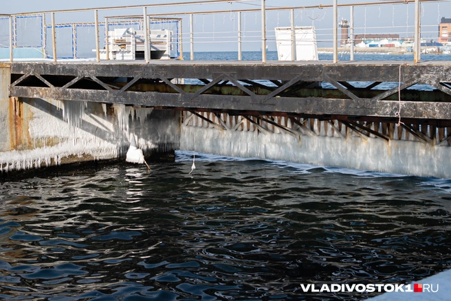Источник: Елена Буйвол / VLADIVOSTOK1.RU
