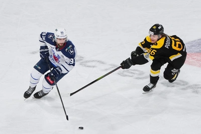 Причины разгромного поражения «Торпедо» в плей-офф КХЛ