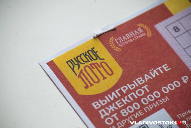 Иногда нам очень везет, а иногда совсем нет | Источник: Елена Буйвол / VLADIVOSTOK1.RU
