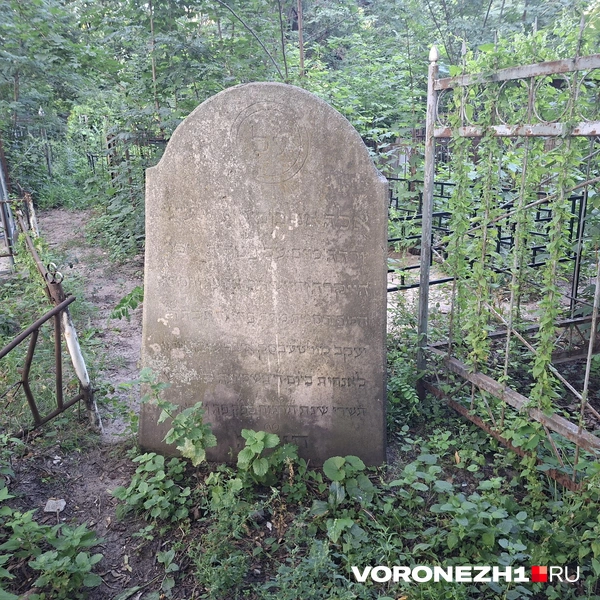 Источник: Алёна Воропаева / Voronezh1.ru