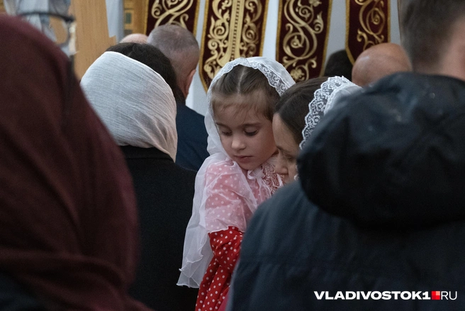 Источник: Елена Буйвол / VLADIVOSTOK1.RU